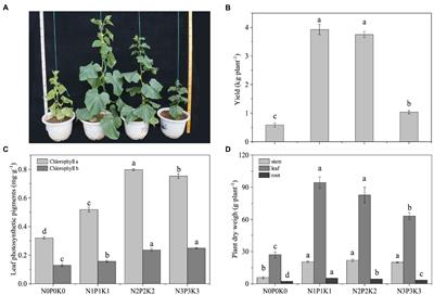 Co-analysis of cucumber rhizosphere metabolites and microbial PLFAs under excessive fertilization in solar greenhouse